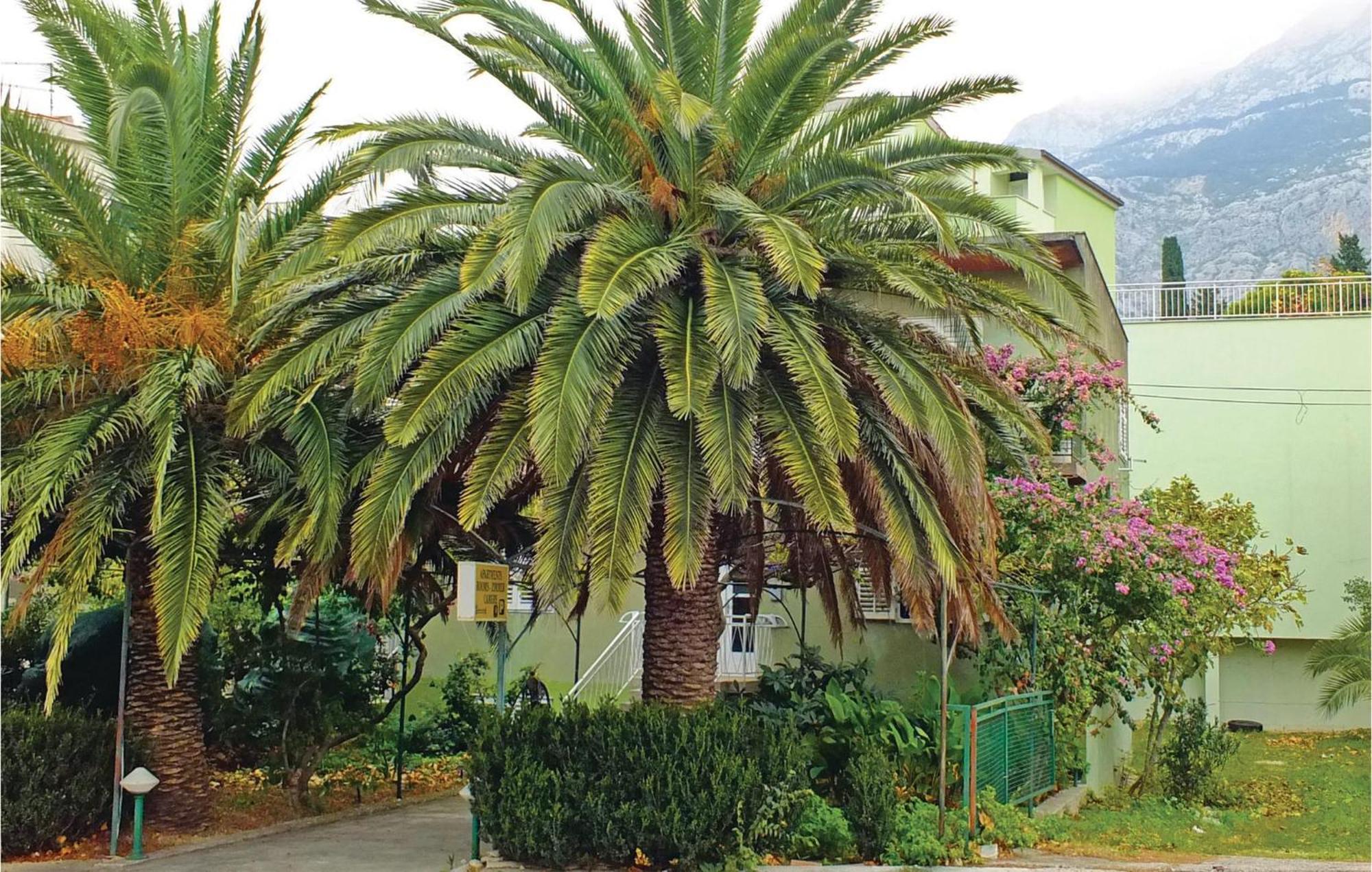 Lovely Apartment In Makarska With Wifi 外观 照片